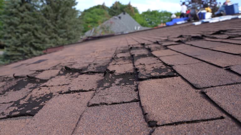 Best Green or Eco-Friendly Roofing Solutions  in Summerside, OH