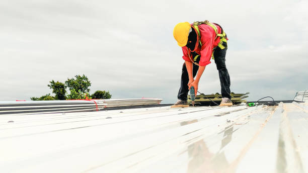 Best Roof Maintenance and Cleaning  in Summerside, OH